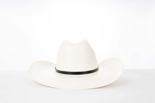 Load image into Gallery viewer, SLCHI5004- Chihuahua laqueado refaldeado 500X