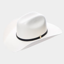 Cargar imagen en el visor de la galería, SLCHI5004- Chihuahua laqueado refaldeado 500X