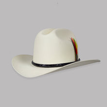 Load image into Gallery viewer, SELF5001 - Sombrero lona fina sinaloa 10x