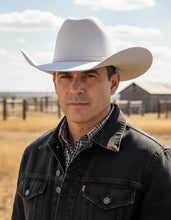 Cargar imagen en el visor de la galería, STCHIH7004 - Texana chihuahua refaldeado gris crystal