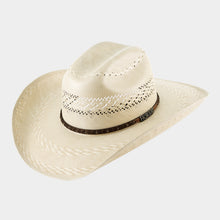 Cargar imagen en el visor de la galería, SBCHI4001 - Chihuahua bicolor 100X