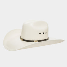 Cargar imagen en el visor de la galería, SLCHI5003 - Chihuahua laqueado 100X