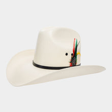 Cargar imagen en el visor de la galería, SLSON2004 - Sonora laqueado 100X