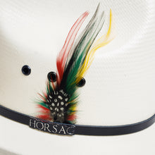 Cargar imagen en el visor de la galería, SLSON2004 - Sonora laqueado 100X