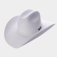 Cargar imagen en el visor de la galería, STCHIH7004 - Texana chihuahua refaldeado gris crystal