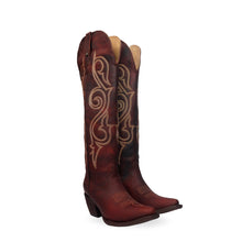 Cargar imagen en el visor de la galería, D1052 - Bota puntal alta brasil brandy
