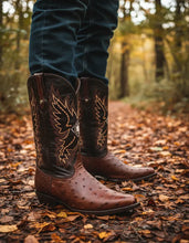 Cargar imagen en el visor de la galería, EO2002 - Bota oval avestruz café
