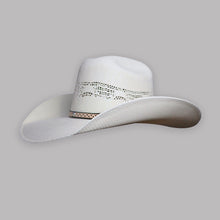 Cargar imagen en el visor de la galería, SEBA3004 - Sombrero bangora minick
