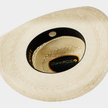 Cargar imagen en el visor de la galería, SBCHI4001 - Chihuahua bicolor 100X
