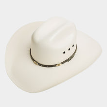 Cargar imagen en el visor de la galería, SLCHI5004 - Chihuahua laqueado 100X
