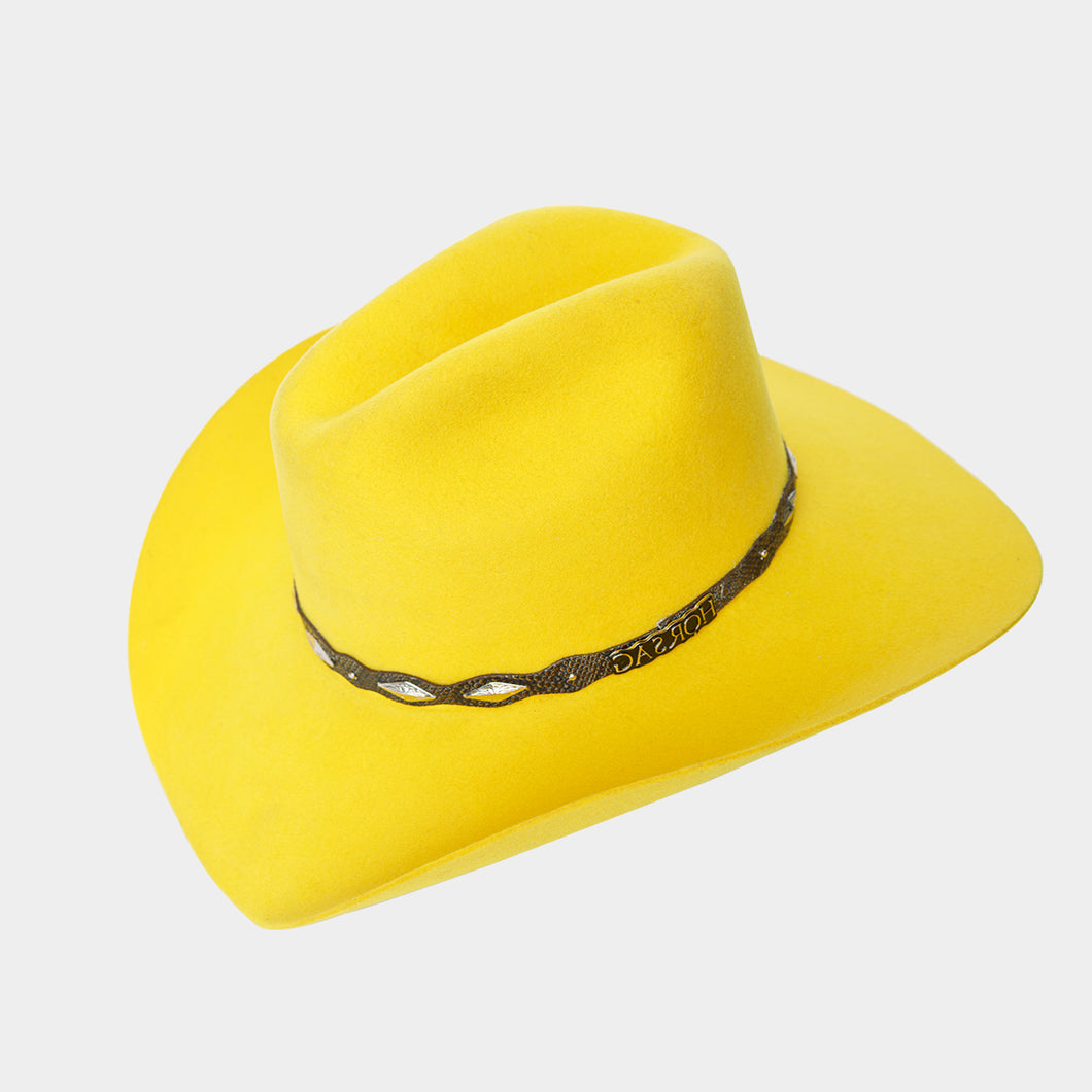 STEXDV5001 - Texana denver amarilla