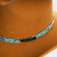Load image into Gallery viewer, STEXDV5006 - Texana denver bronce
