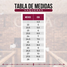 Load image into Gallery viewer, D1061 - Botín puntal bordado águila jersey café
